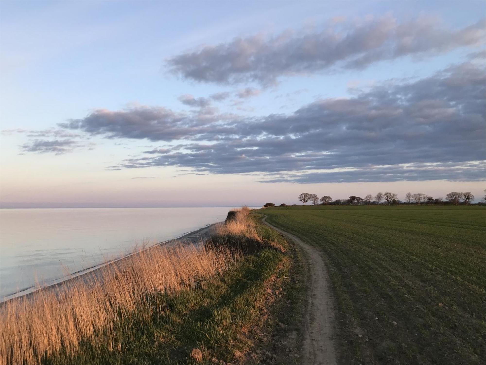 Auszeit 27 - Tiny Haeuser Heringsdorf  Eksteriør billede